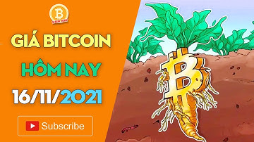 Giá Bitcoin hôm nay 16/11: Điều chỉnh nhẹ, nhưng vẫn trong giai đoạn tăng giá