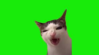 Кот Хрустит, Хрустящая Кошка - Мем, Хромакей (Crunchy Cat) – 2 Минуты