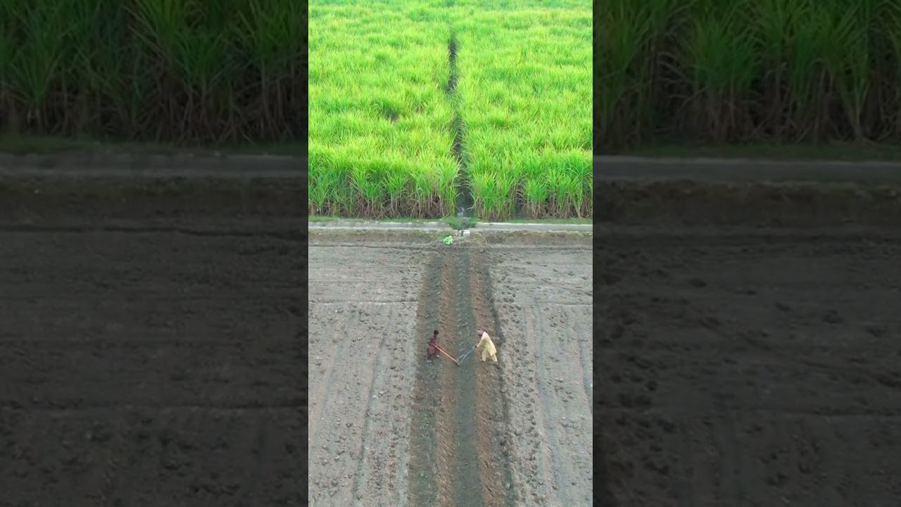 A drone view Larkana sindh 💫💔 