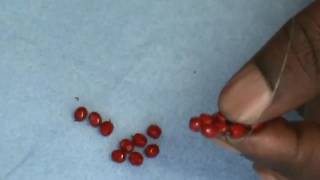 Famous Basic introduction to Right Angle Weave (R.A.W.)Stitch Net Worth