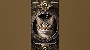 Do Cats Secretly Control You?” #viralshorts #cat