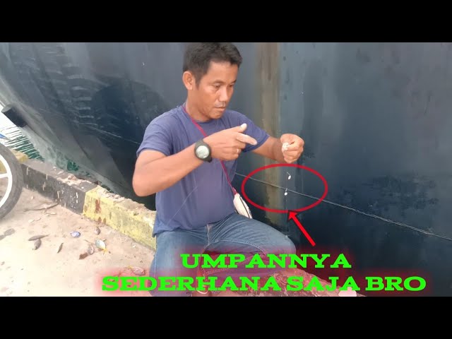 MANCING IKAN DI DERMAGA - UMPAN SEDERHANA SAJA TAPI BIKIN STRIKE IKAN BERTUBI TUBI, LIHAT HASILNYA class=