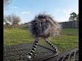 Ветрозащита для мікрофонів Zoom WSU-1