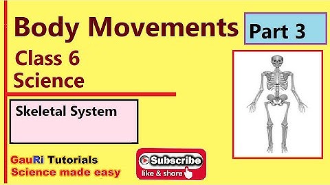 Body Movements Part 3 Class 6 Science