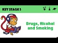 Understanding Drugs: Medicinal and Recreational