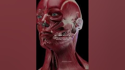 ياسر الدوسري _ ثم أنشأناه خلقا آخر فتبارك الله أحسن الخالقين #تأملات_في_آيات