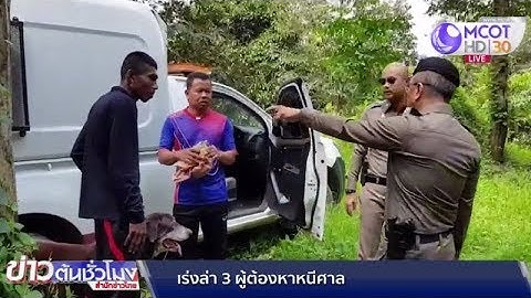 ชุมพรเร่งล่า 3 นักโทษหนีศาล พบรถจอดทิ้งสวนผลไม้