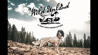 Introducing “Wild Upland,” A GUN DOG Production by Gun Dog Magazine 2,785 views 1 year ago 1 minute, 1 second