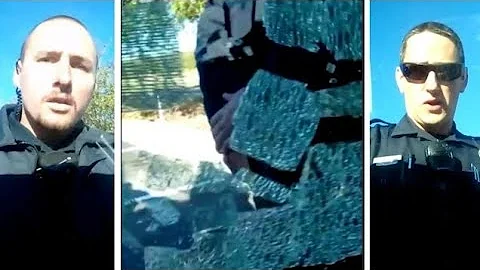 Cops Beat a Sovereign Citizen With Logic Then Break His Car Window