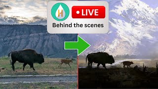 Live Chat &amp; Nez Perce episode Behind the Scenes