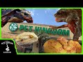 TOURING THE BIGGEST REPTILE SHOP ON THE WEST COAST! (Pet Kingdom, San Diego)