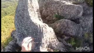 BEAR ATTACKS MOUNTAIN CLIMBER 🐻#mountains #climbing #bear #wildlife#iran #russia #ukraine #news