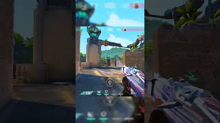 Aim