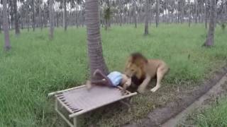 Un sur un milliard : scènes uniques du monde animal