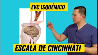 Escala de Cincinnati