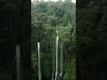 MARAVILHAS DA NATUREZA 4