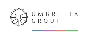 Оценка налоговых рисков. Umbrella Group. Оценка налоговых рисков. Umbrella Group.