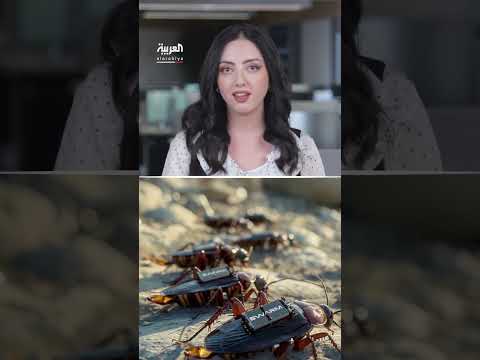 ألمانيا تطور أسلحة ذكية مستوحاة من الصراصير