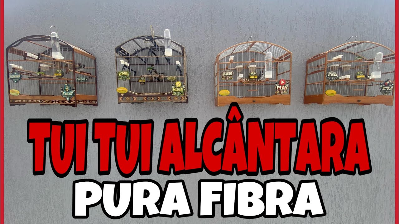 ENCARTE COLEIRO TUI TUI PURA FIBRA *mostrando o resultado do encarte*