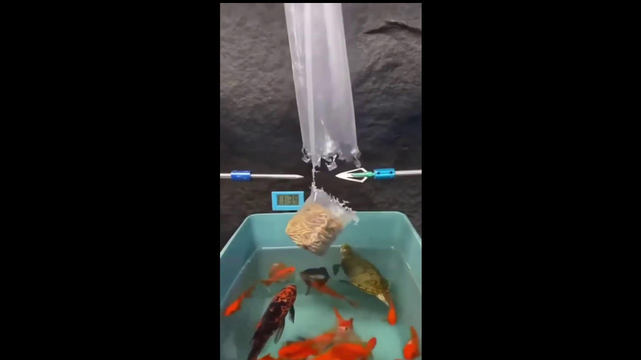 СТРИМ ШОРТС ИГРАЕМ