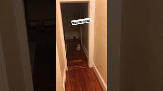 Famous Thats not a Normal Dog 😶 Wealth