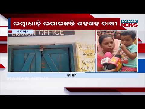 Massive Fertilizer Crisis Hits Keonjhar! Poor Farmers Left To Starve || Odisha News
