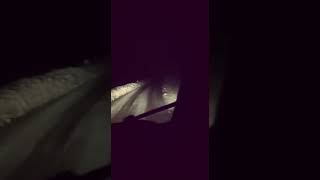 Kısa Bir Gece Yolculuğu