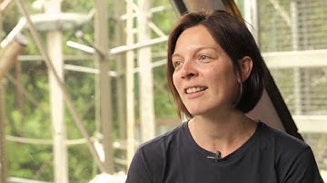 Kinecting with Orang utans