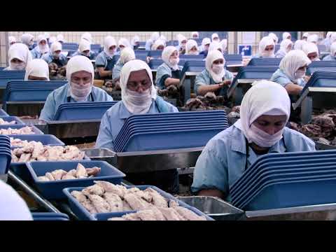 Dardanel Çanakkale Fabrika