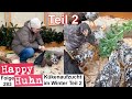 Küken aufziehen und akklimatisieren im Winter - Teil 2 - HAPPY HUHN E283 - Hühner Aufzucht / Voliere