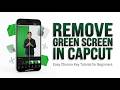 How to Remove Green Screen in CapCut | Easy Chroma Key Tutorial for Beginners