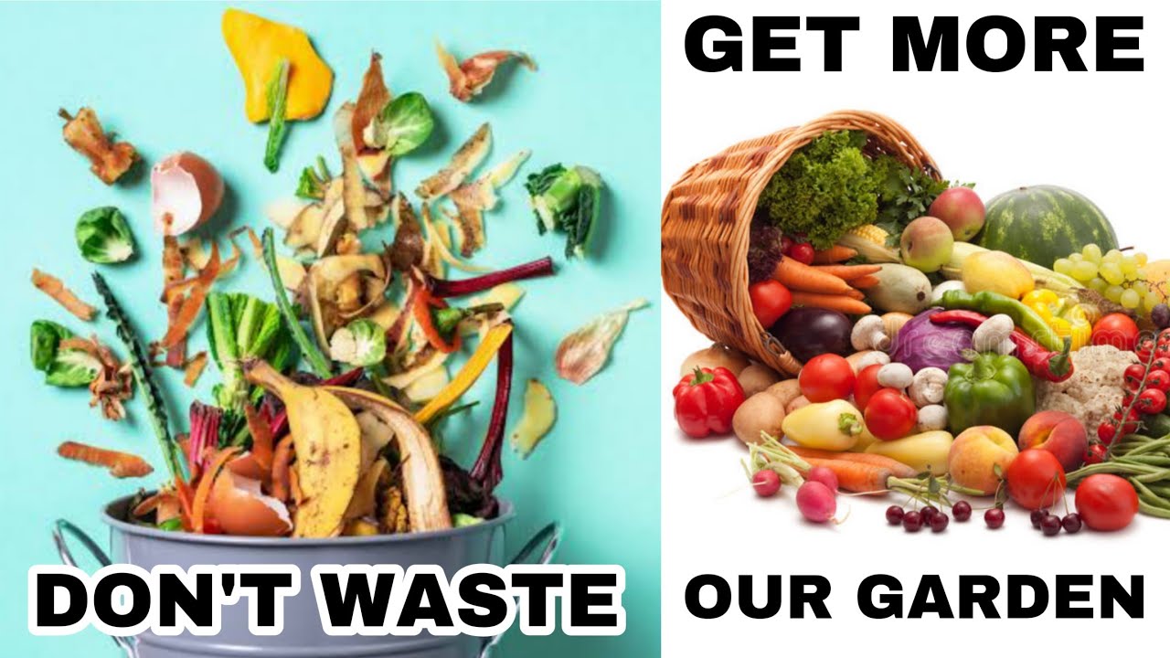 PLANTS ORGANIC LIQUID FERTILIZER IN OUR KITCHEN WASTES, HOW TO USE