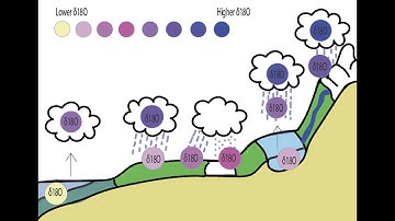 Oxygen Isotopes in the Water Cycle