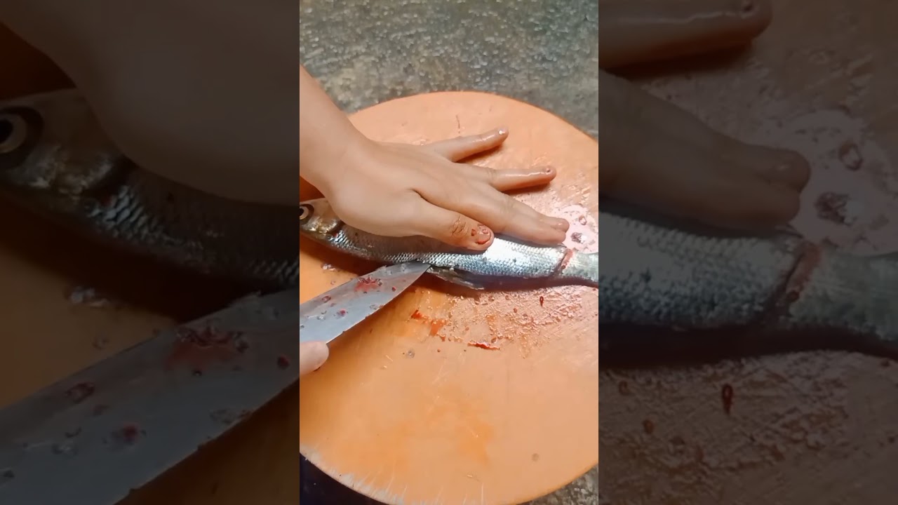 Have you ever seen a fish with two heads? watch this 