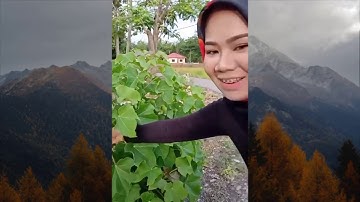 Best of r/Unexpected [24] - July 2019