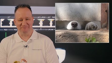 Techson Managed Switches against DHCP attacks!