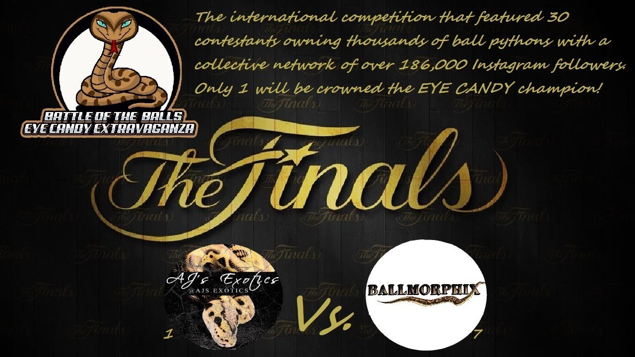 The Final Round - Battle of the Balls Eye Candy Extravaganza