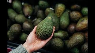 Avocado packing app by farmsoft screenshot 1