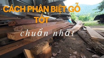 Đây Là Cách Phân Biệt Và Nhận Biết Gỗ Tốt Hay Xấu