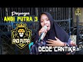 PAYUNGAN VOC DENOK - SINGA DANGDUT ANDI PUTRA 3 EDISI CEK SOUND 2024