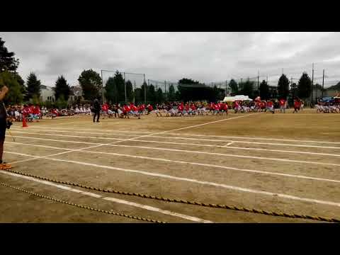 20220908多摩高体育祭　男子棒とり