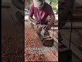 ये गलती कभी ना करे लकड़ी काटने का वक्त😱| #shorts #woodworking #works #wood #machine