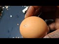 ODDLY SATISFYING RAW EGG PEELING ASMR 30 