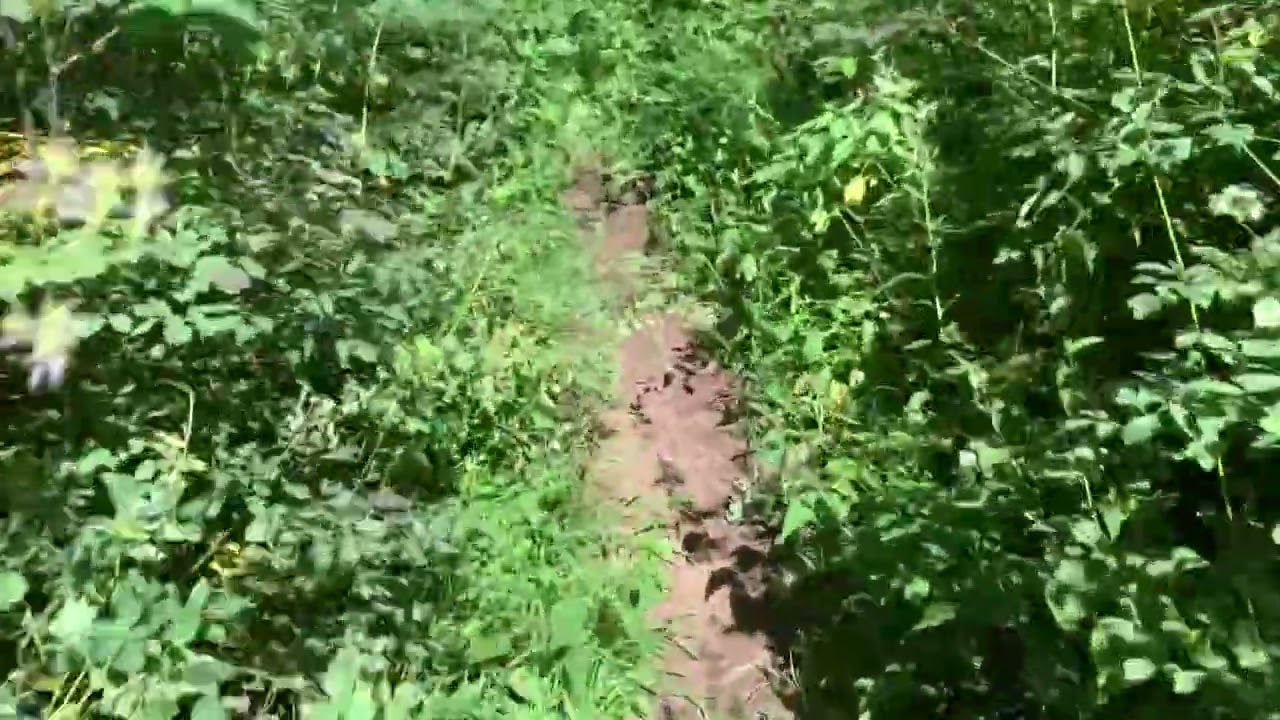 Cowrock Mountain Hike