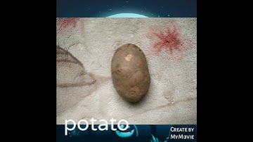 9th class biology 4th chapter plasma membrane Lab Activity Osmosis