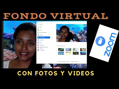 Video: 9 Fondos de zoom inspirados en viajes para su próxima reunión