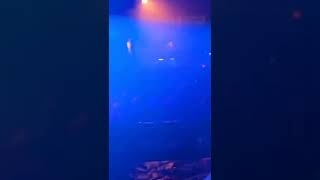 Stellabossi  shorts  dj