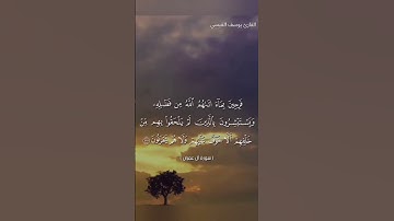 سورة آل عمران بصوت القارئ يوسف القيسي