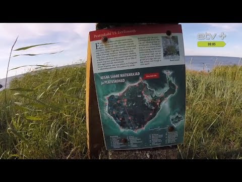 Video: Kako Doći Do Talina