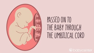 How food reaches your baby